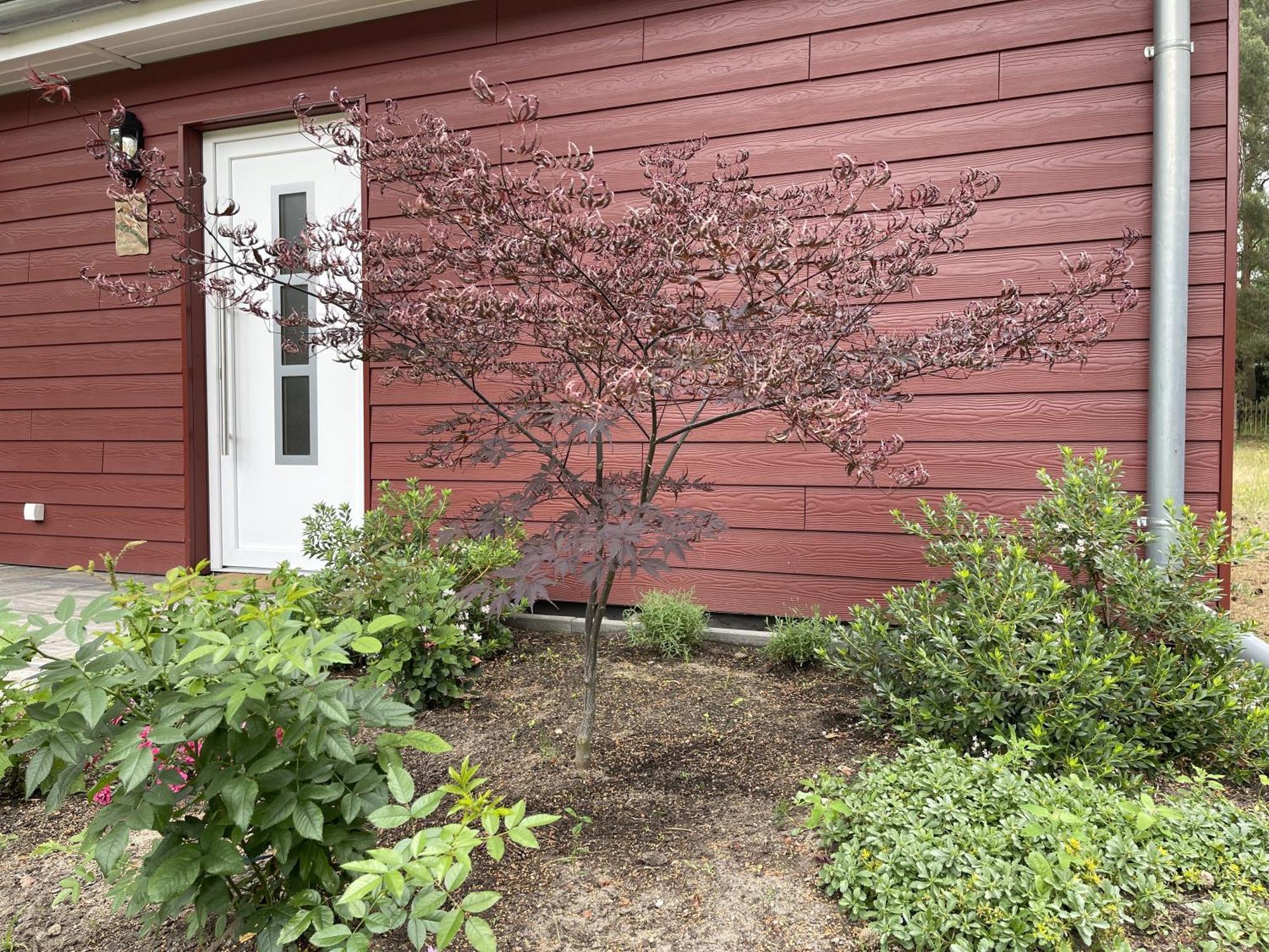 Ferienhaus Eichelhaeher Vila Zossen Exterior foto